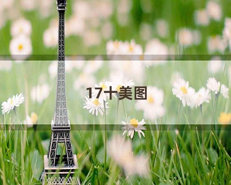 17十美图