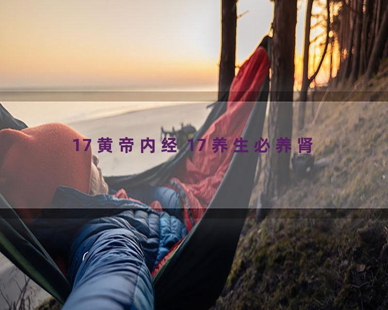 17 黄帝内经 17 养生必养肾