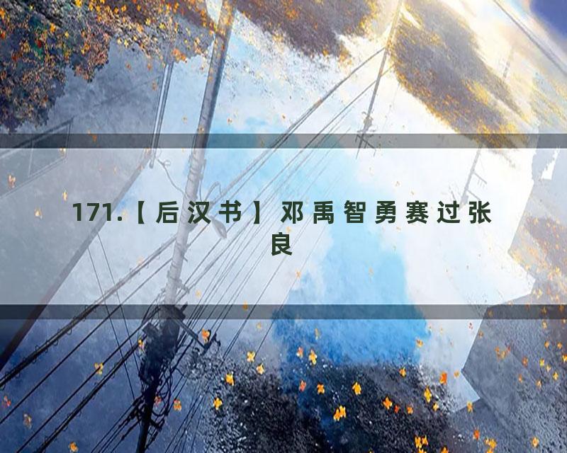 171.【后汉书】邓禹智勇赛过张良