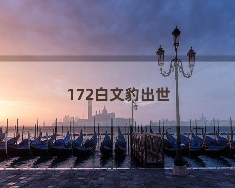 172白文豹出世