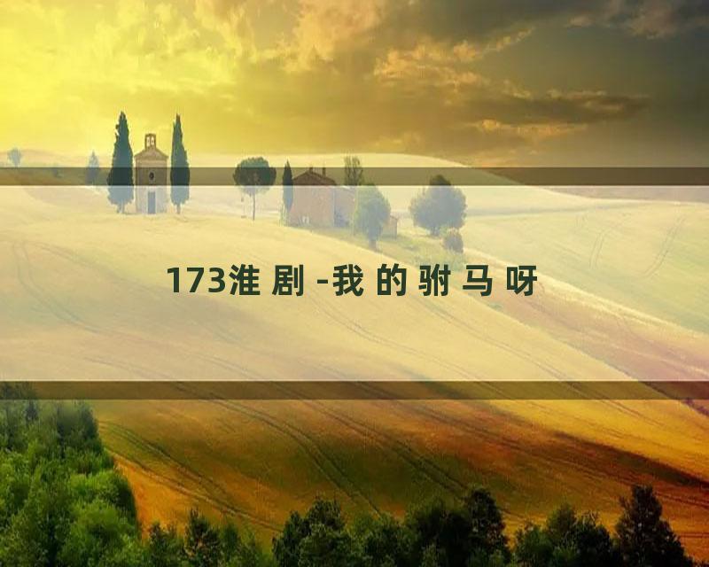 173淮剧-我的驸马呀
