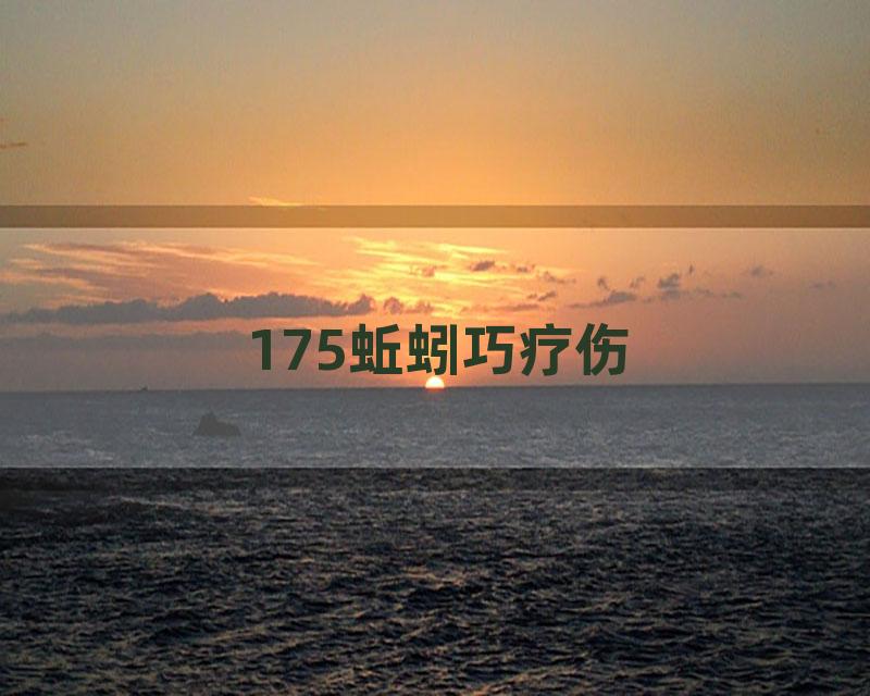 175蚯蚓巧疗伤