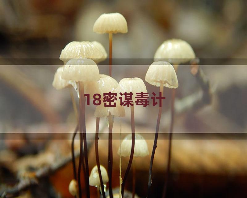 18密谋毒计