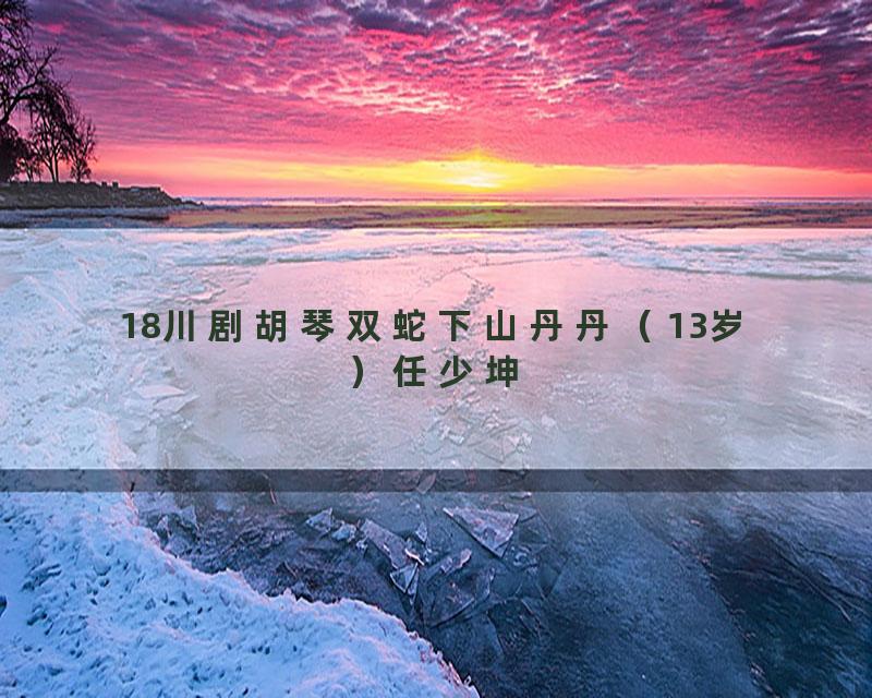 18川剧胡琴双蛇下山丹丹（13岁）任少坤