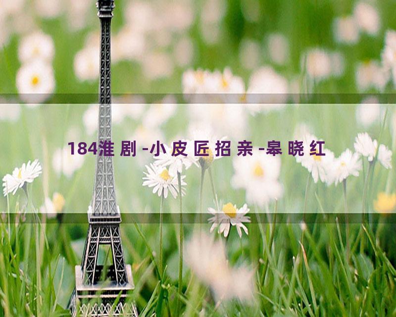184淮剧-小皮匠招亲-皋晓红