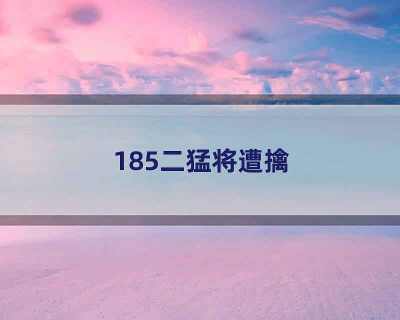 185二猛将遭擒
