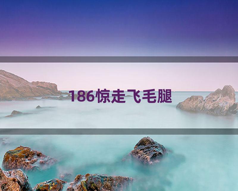 186惊走飞毛腿