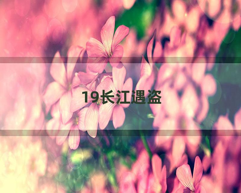 19长江遇盗