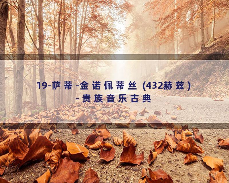 19-萨蒂-金诺佩蒂丝 (432赫兹) - 贵族音乐古典
