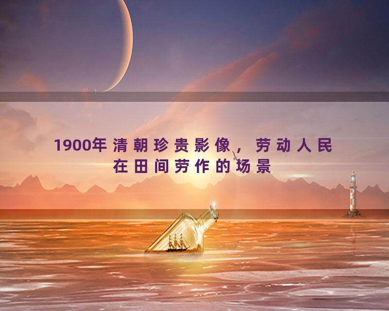 1900年清朝珍贵影像，劳动人民在田间劳作的场景