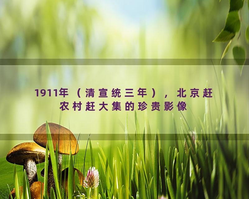 1911年（清宣统三年），北京赶农村赶大集的珍贵影像