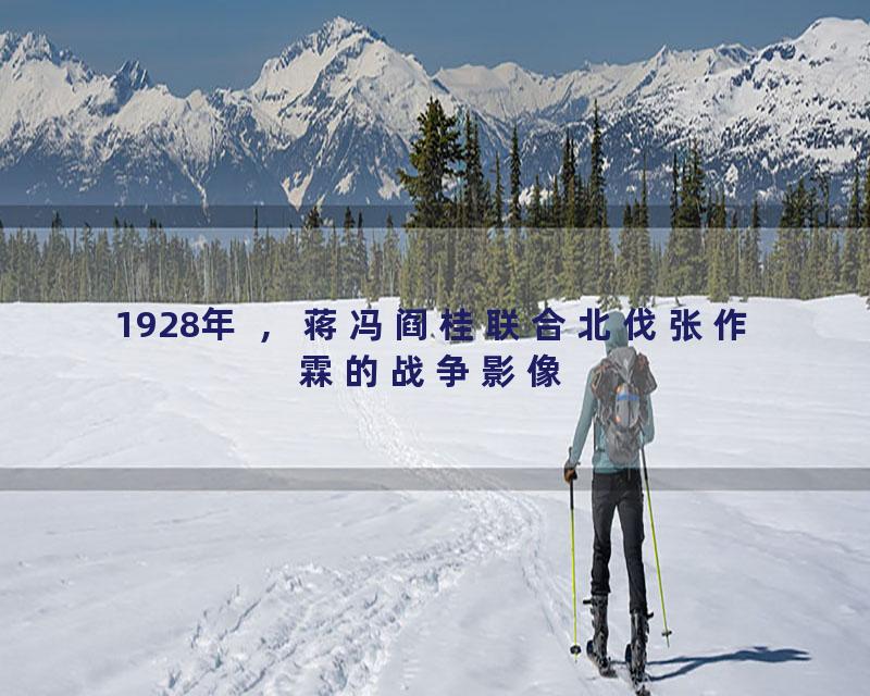1928年 ，蒋冯阎桂联合北伐张作霖的战争影像