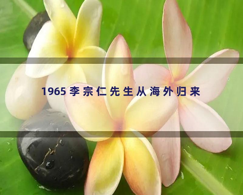 1965 李宗仁先生从海外归来