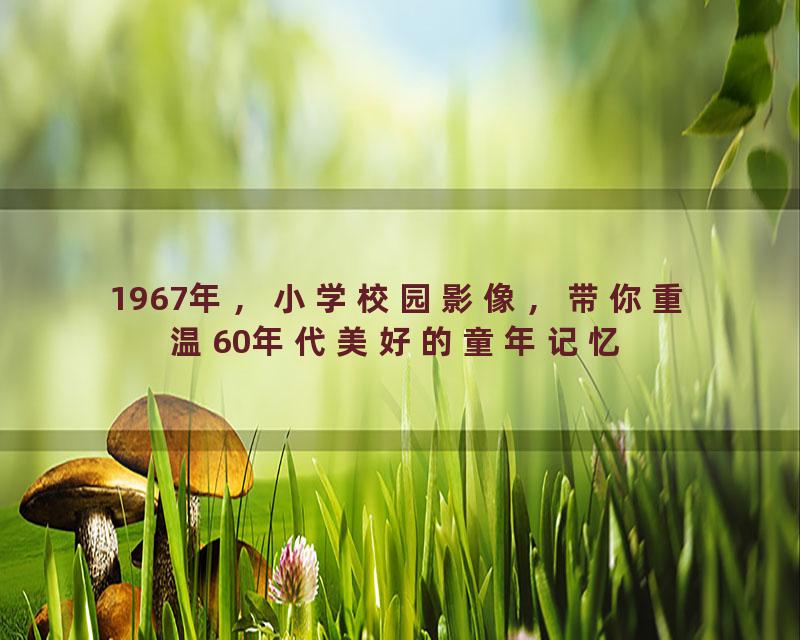 1967年，小学校园影像，带你重温60年代美好的童年记忆