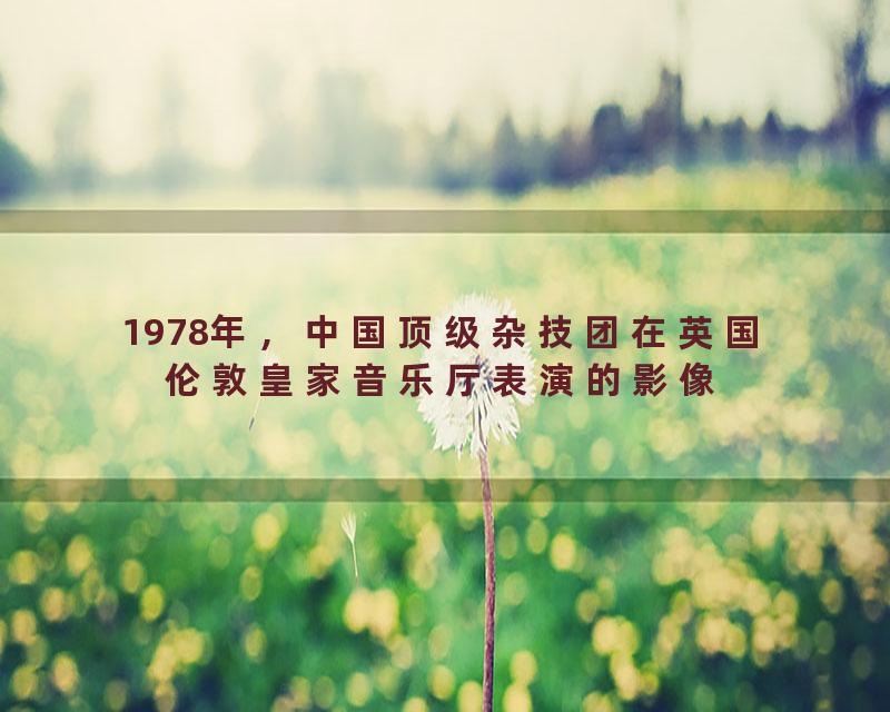 1978年，中国顶级杂技团在英国伦敦皇家音乐厅表演的影像