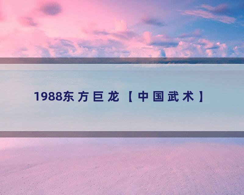 1988东方巨龙【中国武术】