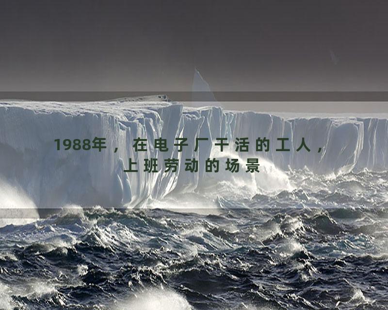 1988年，在电子厂干活的工人，上班劳动的场景