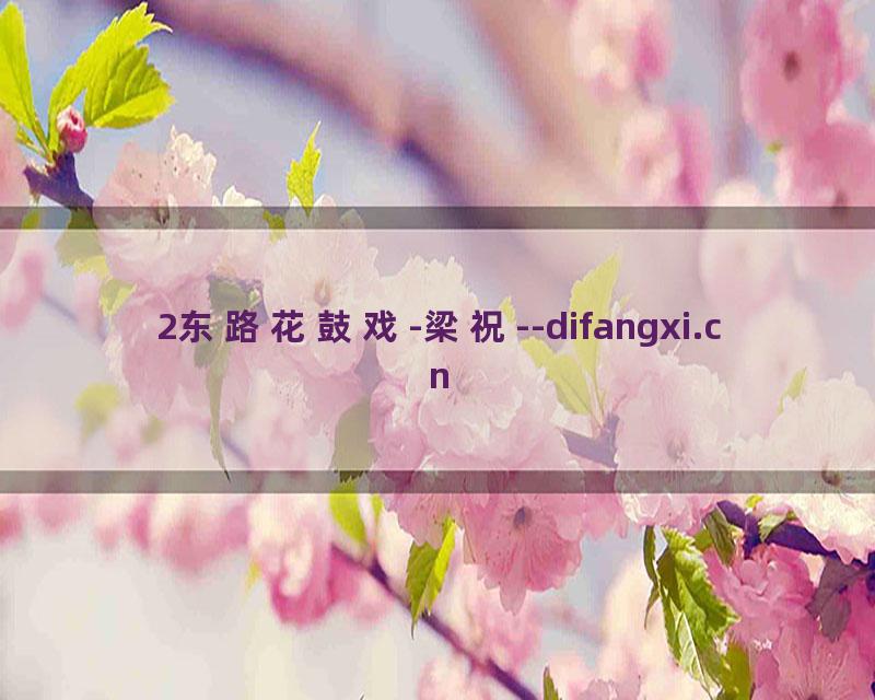 2东路花鼓戏-梁祝--