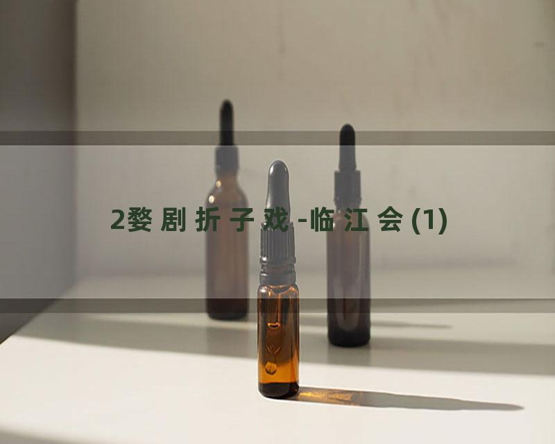 2婺剧折子戏-临江会(1)