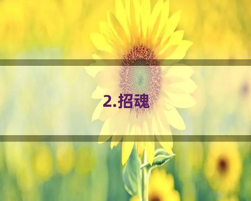 2.招魂