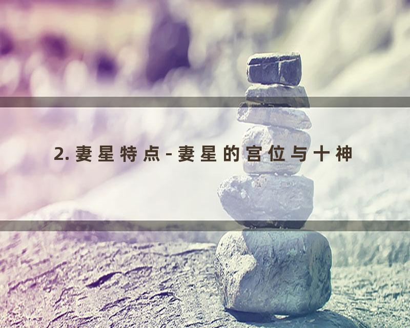 2. 妻星特点- 妻星的宫位与十神