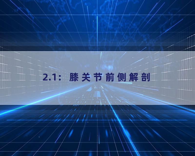 2.1：膝关节前侧解剖