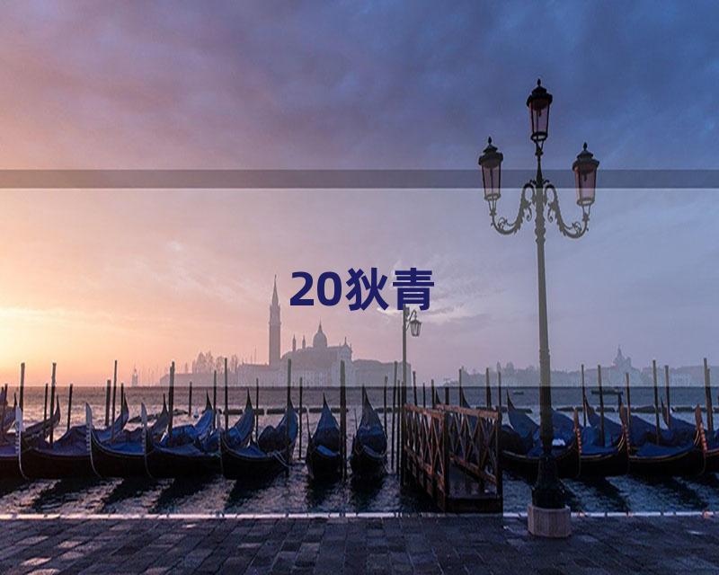 20狄青