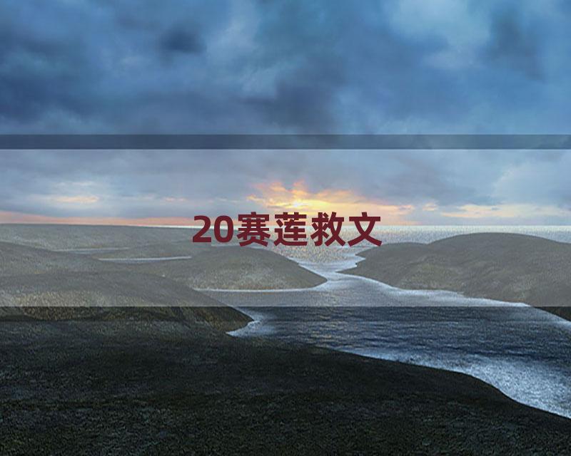 20赛莲救文