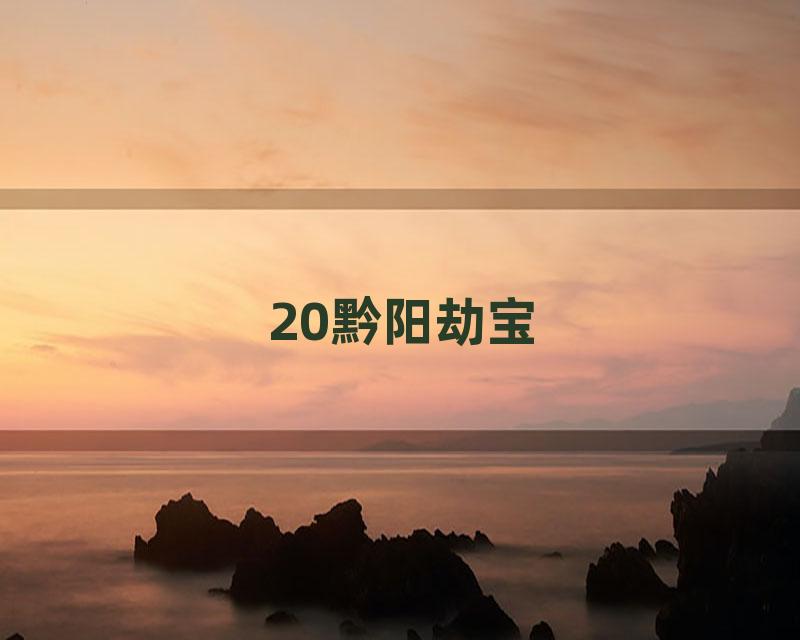 20黔阳劫宝