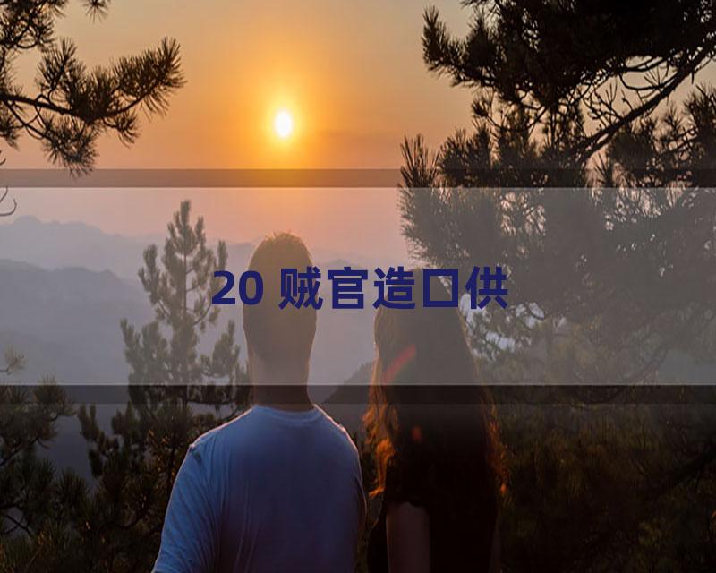 20 贼官造口供