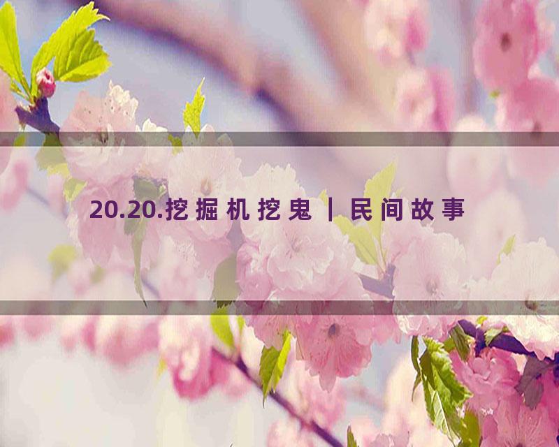20.20.挖掘机挖鬼｜民间故事