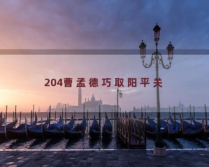 204曹孟德巧取阳平关