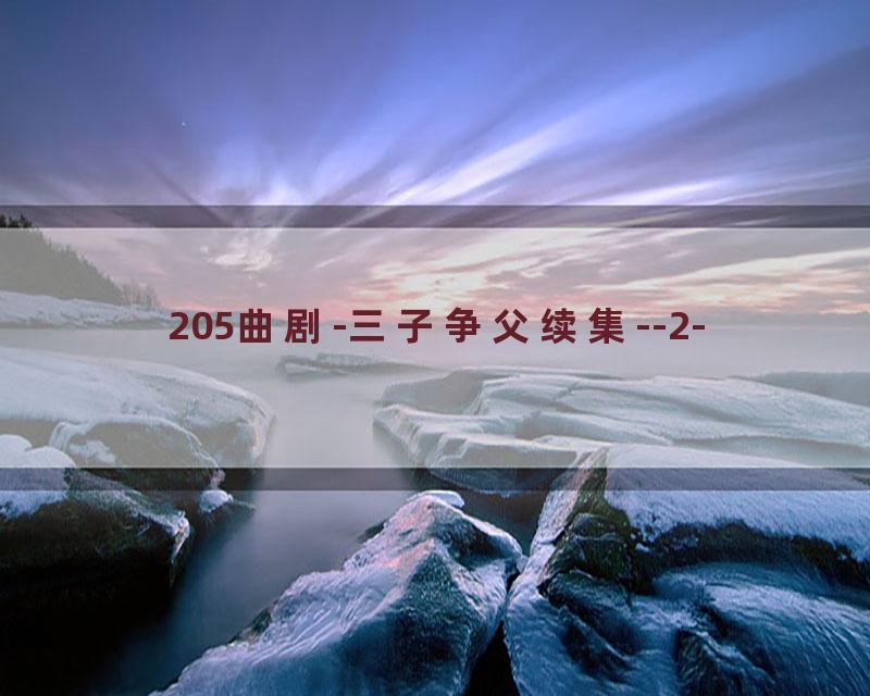 205曲剧-三子争父续集--2-