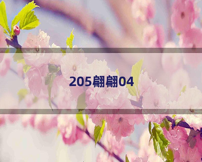 205翩翩04