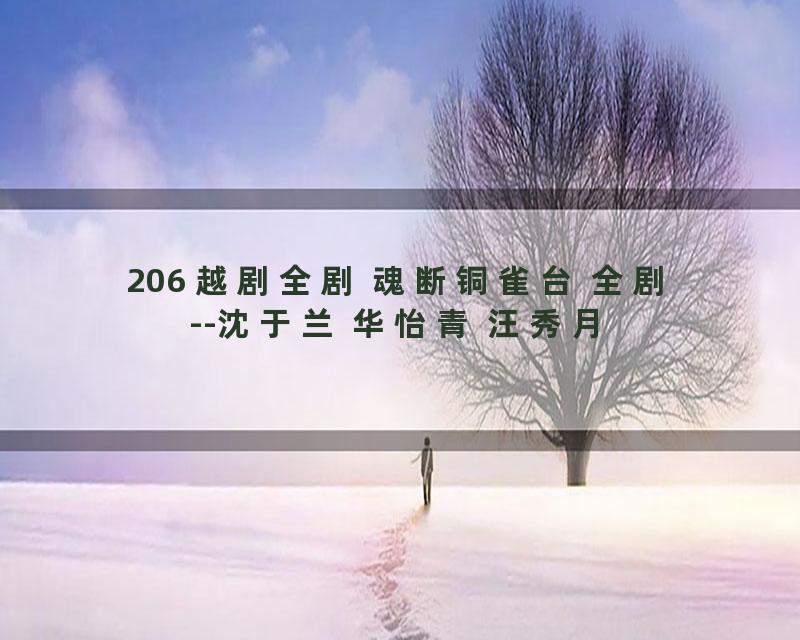 206 越剧全剧 魂断铜雀台 全剧--沈于兰 华怡青 汪秀月