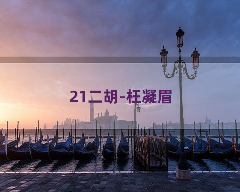 21二胡-枉凝眉