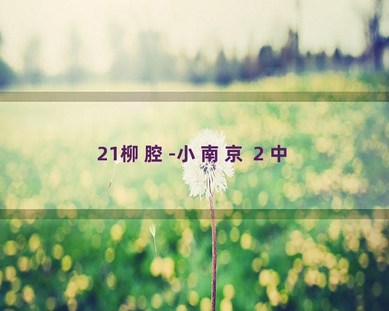 21柳腔-小南京 2 中