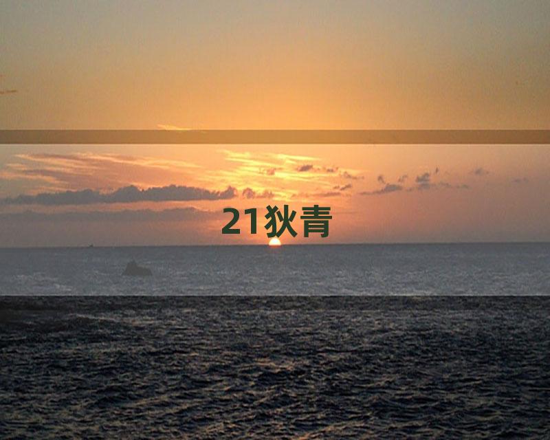21狄青