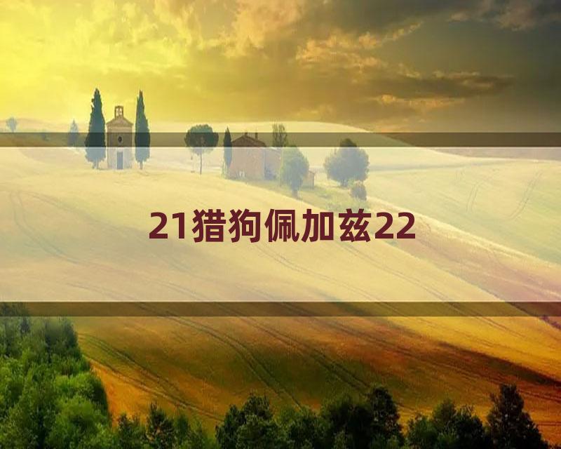 21猎狗佩加兹22