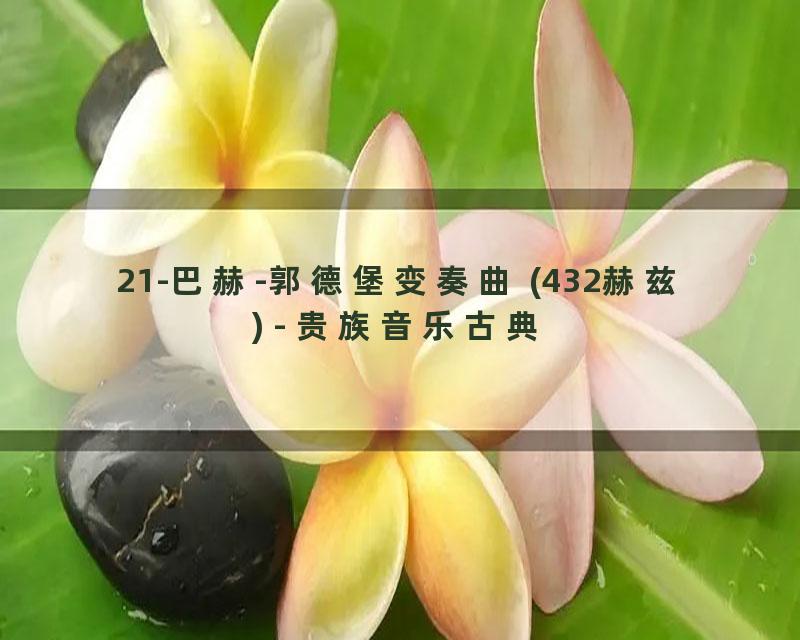 21-巴赫-郭德堡变奏曲 (432赫兹) - 贵族音乐古典