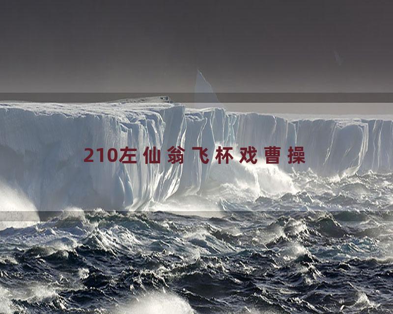 210左仙翁飞杯戏曹操