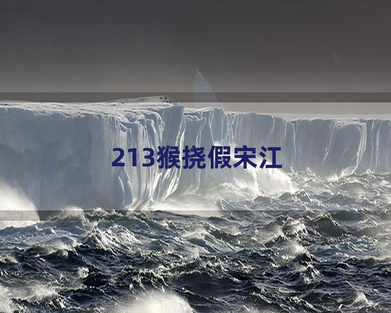 213猴挠假宋江