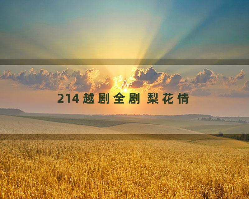 214 越剧全剧 梨花情