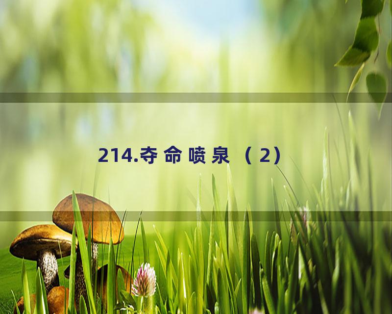214.夺命喷泉（2）