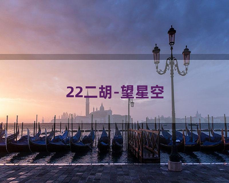 22二胡-望星空