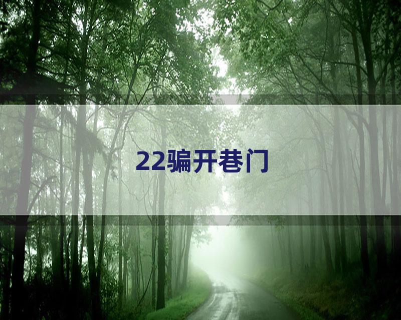 22骗开巷门