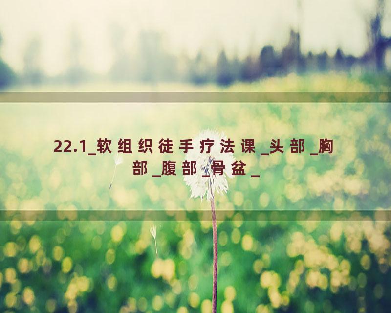 22.1_软组织徒手疗法课_头部_胸部_腹部_骨盆_