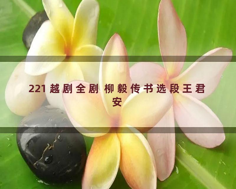 221 越剧全剧 柳毅传书选段王君安