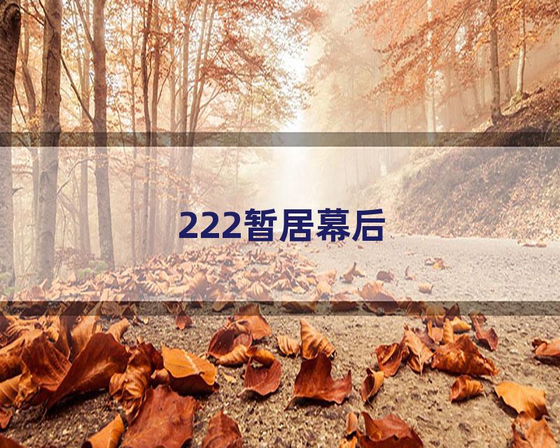 222暂居幕后