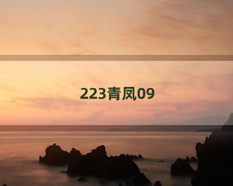 223青凤09